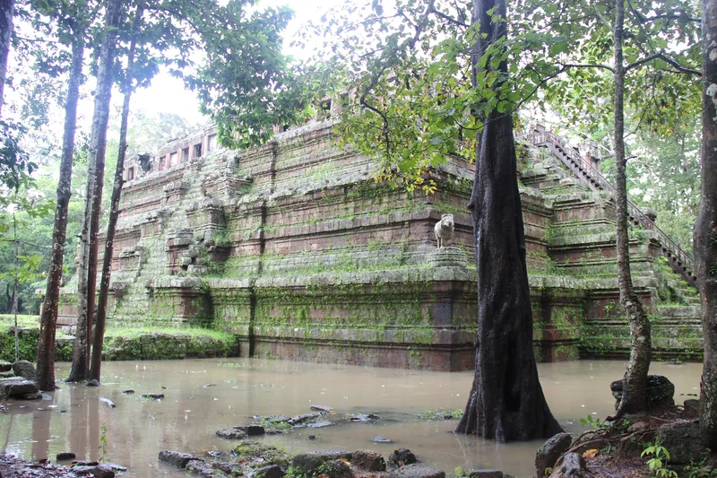 A moss-covered stepped pyramid temple of Phimeanakas rises above a flooded moat surrounded by tall trees at Angkor Thom.