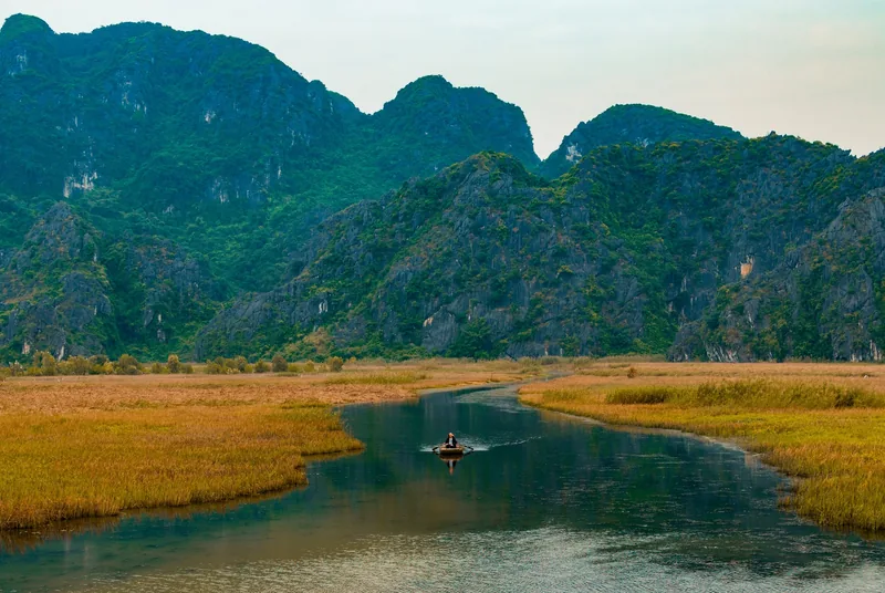 A small boat glides along a winding river through golden reed marshes beneath limestone karst mountains in Ninh Binh.